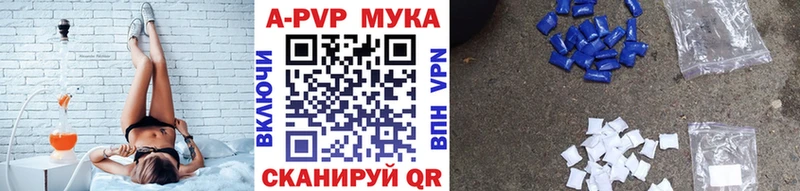 Купить закладку COCAIN  Псилоцибиновые грибы  Каннабис  МЕФ  Короча