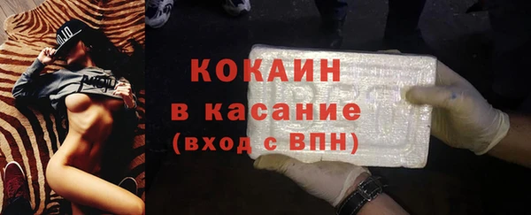 стаф Дмитриев