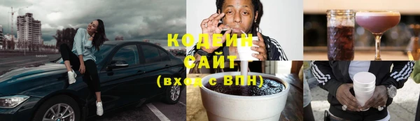 стаф Дмитриев