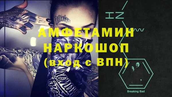 стаф Дмитриев