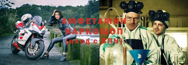 стаф Дмитриев