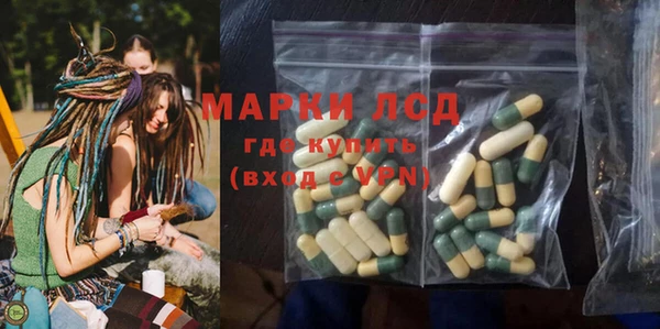 стаф Дмитриев