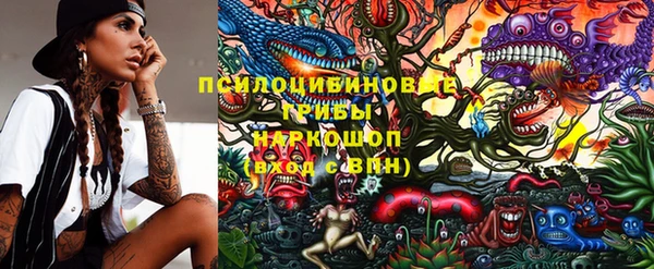 стаф Дмитриев