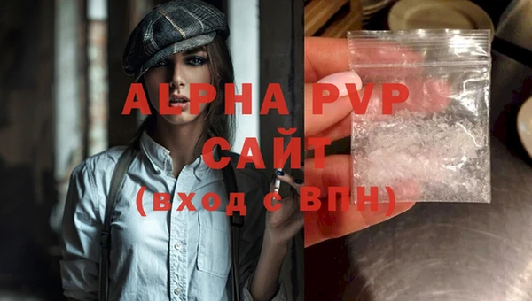 стаф Дмитриев