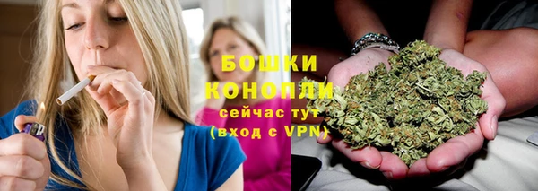стаф Дмитриев