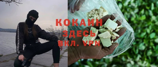 стаф Дмитриев